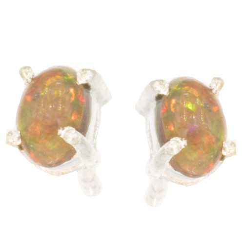 Opal ohrstecker mit echtem - opal,